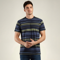Men's Earth Tone Striped Crew Neck T-Shirt (TSRP05)