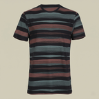 Men's Earth Tone Striped Crew Neck T-Shirt (TSRP05)
